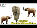 Download Lagu Luacjang by 2Gee D Master ~ South Sudan Music 2025 ~ CMP TV