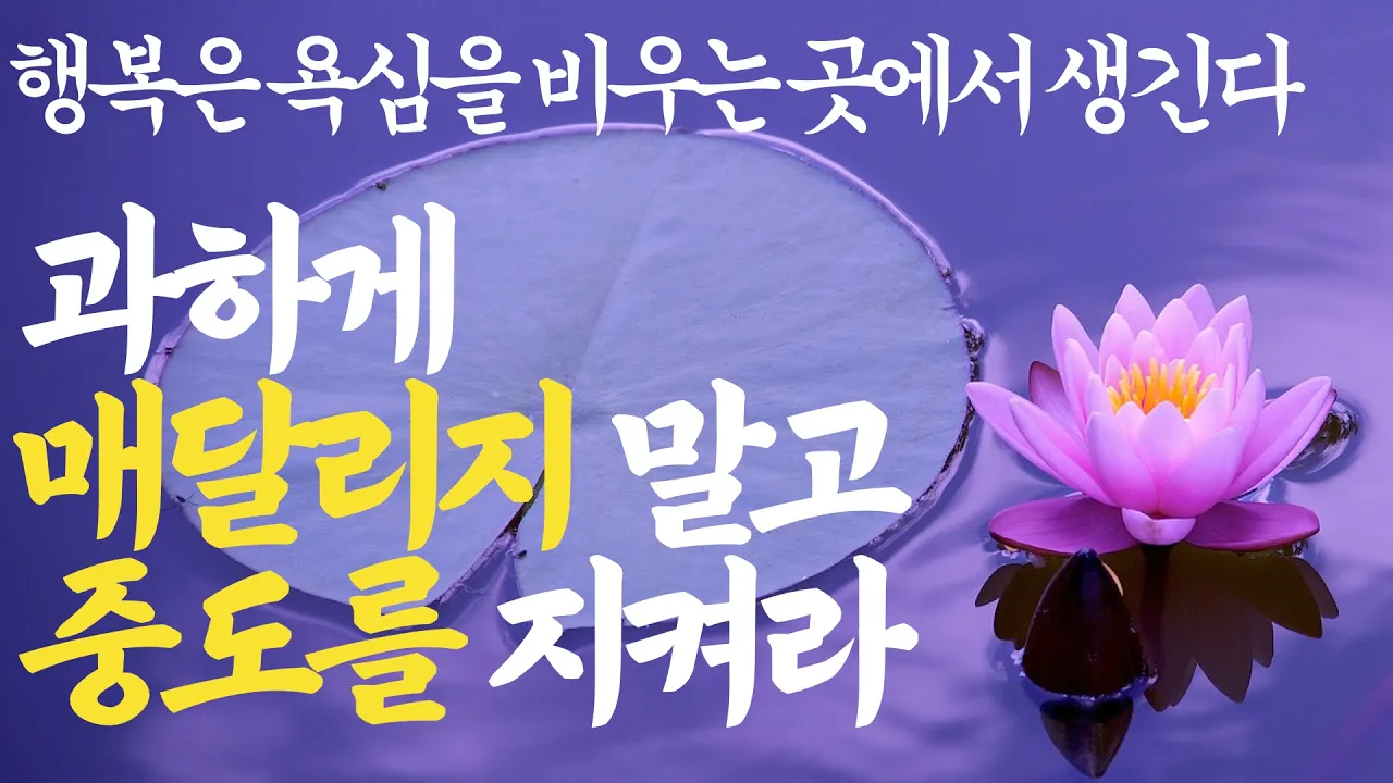 Outline Video 50세이후 절대 매달릴 필요 없는 7가지 | 나이들수록 조심해야 하는 것 |노후를 가장 행복하게 보내는 방법|불교 철학|석가모니 부처님 명언 철학 오디오북 낭독 처세 지혜|ASMR