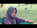 Download Lagu Pertemuan | Rhoma irama-Noerhalimah | Cover by | Muliadi-Susilawati