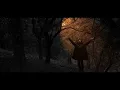 Download Lagu MUZ - SOMOI AGANA ( OFFICIAL MUSIC VIDEO )