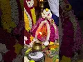 Download Lagu பூசாரி ஜெயக்குமார் அம்மன் பாம்பை உடுக்கை பாடல்#angalammanvarnippu #pambaiudukkaipattu #pambaiudukkai