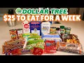 25 to Eat for a Week My Dollar Tree Haul Game Plan