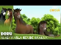 Doru Alaca Yi Asla Geride Birakma 60 Bolum