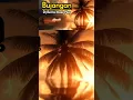 Download Lagu Bujangan Lagu Lawas Koes Plus #bujangan
