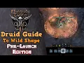 The Druid Guide to Shapeshifting and Wild Shape - Baldur s Gate 3 Pre-Launch Prep