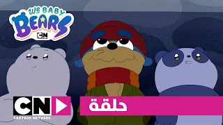 نحن الدببة الصغار حلقة حشرات التنين كرتون نتورك 