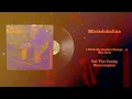 Del The Funky Homosapien - Mistadobalina (Vinyl Visualizer)