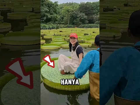 Hanya Orang-orang Tertentu Yang Bisa Naik Ke Atas Daun Ini! #viral