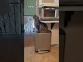 Download Lagu Ik weet niet waarom ze denkt dat dit de manier is om avondeten te krijgen #kat #poes #kitten #sch...