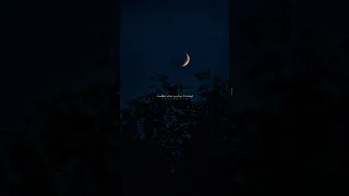 آیمووی احساسی تایپوگرافی ادیت Music عاشقانه موزیک توسکا ناجی چشمات 