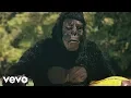 Download Lagu Tungevaag, Raaban - Samsara