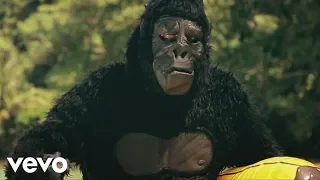 tungevaag raaban samsara