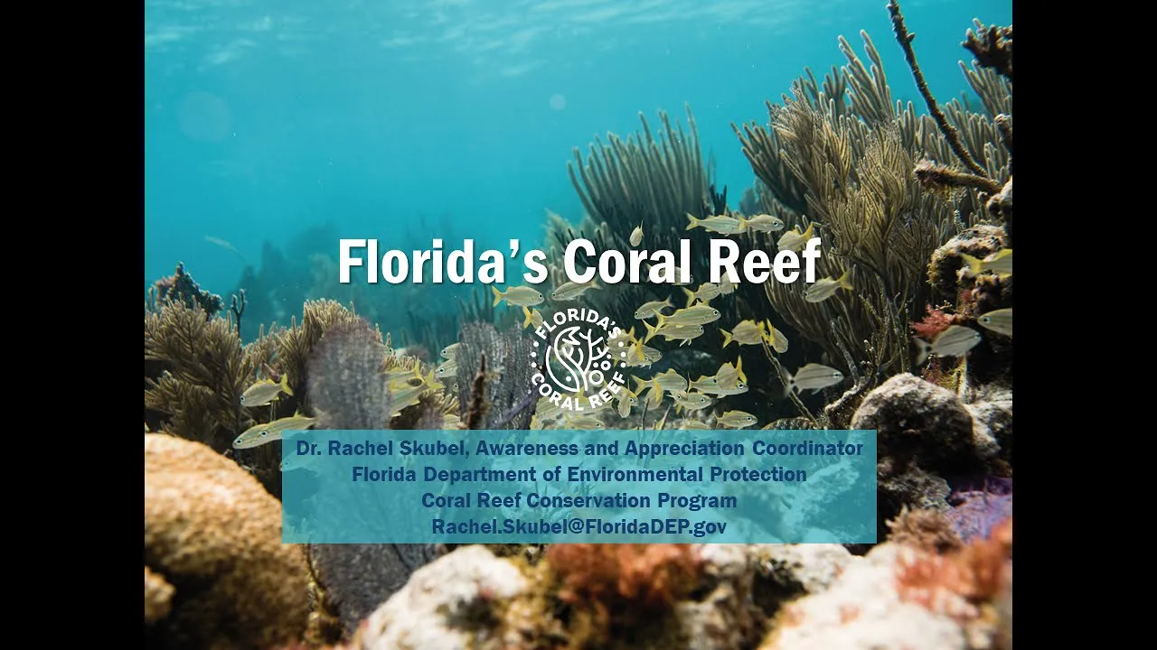 Introducing Florida's Coral Reef!