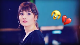 سيف عامر تخيل شجرة بيها اوراق حالات واتس اب حزينه دندنها