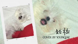 영재(YOUNGJAE)- "늦은 후회" (Original Song: Bobo)