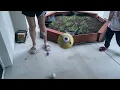 LU06 - 3 Bouncing Balls Reference Assignment