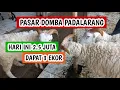 Lagu hari ini 2.5 juta dapat 3 ekor, Harga domba garut dan domba pariangan (161225)