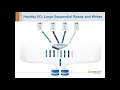Webinar 2X Faster SQL GUARANTEED Spencer 2019 10 08