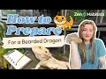 Bearded Dragon Care Guide Shopping List What to Know Before Bringing One Home
