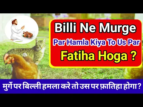 Murge Par Kutta Ya Billi Hamla Kar De Use Khana Aur Us Par Fatiha Karna Kaisa | Ghayal Halal Janwar