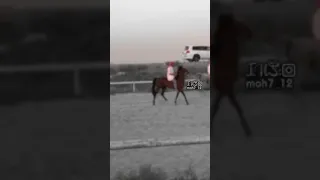 كلمات غريب ال مخلص في وجنتك نور القمر وفي سلهمت عينك مقيل تصميمي 