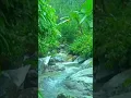 intro sholawat jibril