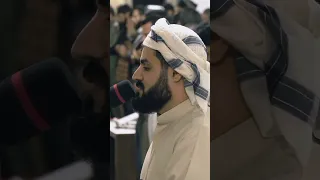NEW Raad Al Kurdi Beautiful Recitation سورة فاطر رعد بن محمد الكردي 