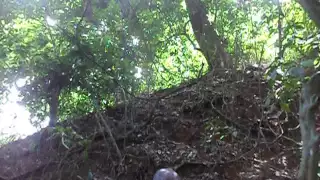 mov02496
