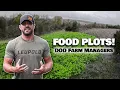Fall Food Plot Guide What to Plant When How Deer Season 25