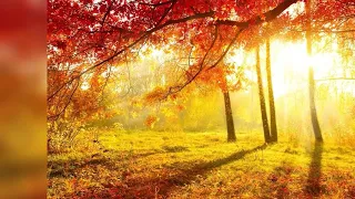 ذكر الله هو حياتك هاني حمدي 