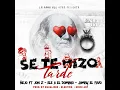 Se Te Hizo Tarde (feat. Ele A El Dominio, Jon Z & Jamby El Favo)