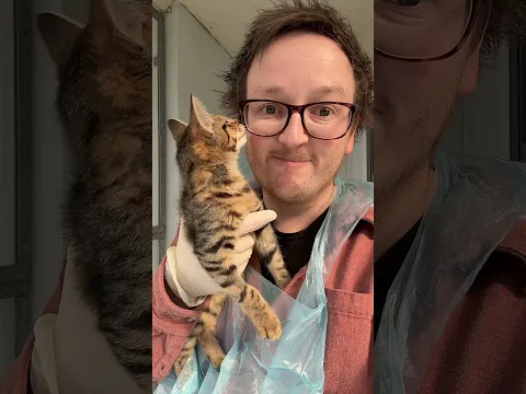 Meeting The Cats At RSCPA!