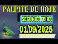 Download Lagu PALPITE DO NETO 01/09/2025