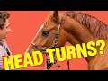 Why Your Horse Turns Its Head Away It s Not Disrespect It s Deeper