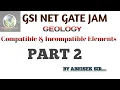 Compatible Incompatible Elements - 2 REE