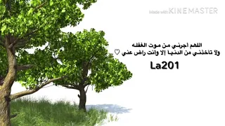 قال ابن القيم رحمه الله القران شفاء لما في الصدور 