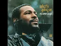 Mercy Mercy Me (The Ecology) - Marvin Gaye