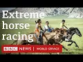Download Lagu The longest horse race in the world - BBC World Service