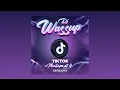 Download Lagu TikTok With Dj Wassup Pt 4