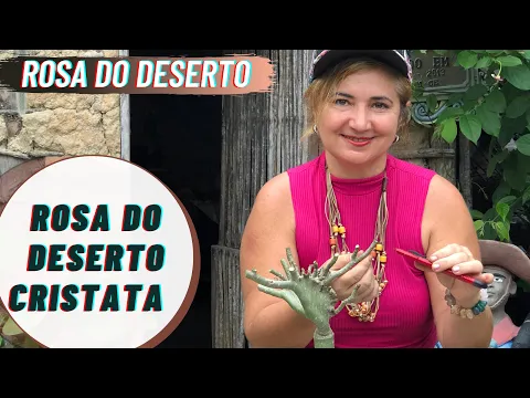 Download MP3 ROSA DO DESERTO CRISTATA