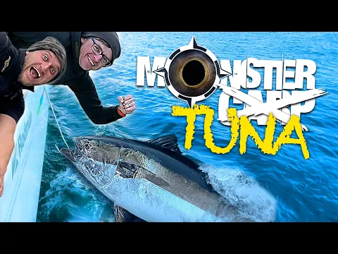 Download MP3 Dovey & Spooner VS Monster Tuna | Korda Carp Fishing