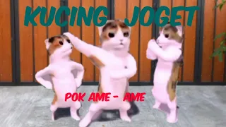 LAGU   POK AME - AME || KUCING LUCU JOGET || CATS DANCE || ANIMASI CATS ||