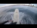 Surfing Blackies