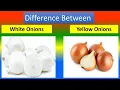 Difference between White Onions and Yellow Onions