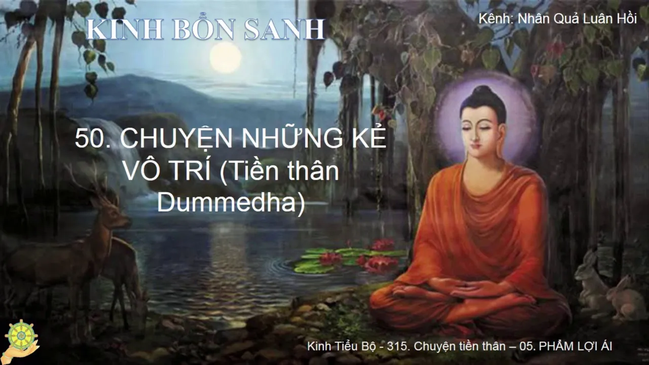 50 Truyện NHỮNG KẺ VÔ TRÍ Tiền thân Dummedha Truyện Tiền Thân Đức Phật Tập 1 