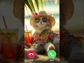 Download Lagu Sad Cute Cat Calling Ringtone Friend cat #cute #sad #cat #call #calling #ringtone #friends #funnycat