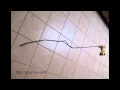 Using Battery-Powered Drills and Snake to Unclog Plumbing Drains