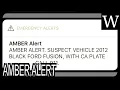 AMBER ALERT - WikiVidi Documentary