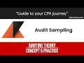 Audit Sampling