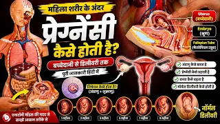 महिला शरीर के अंदर प्रेग्नेंसी कैसे होती है? | गर्भधारण से नॉर्मल डिलीवरी तक पूरी जानकारी #pregnancy